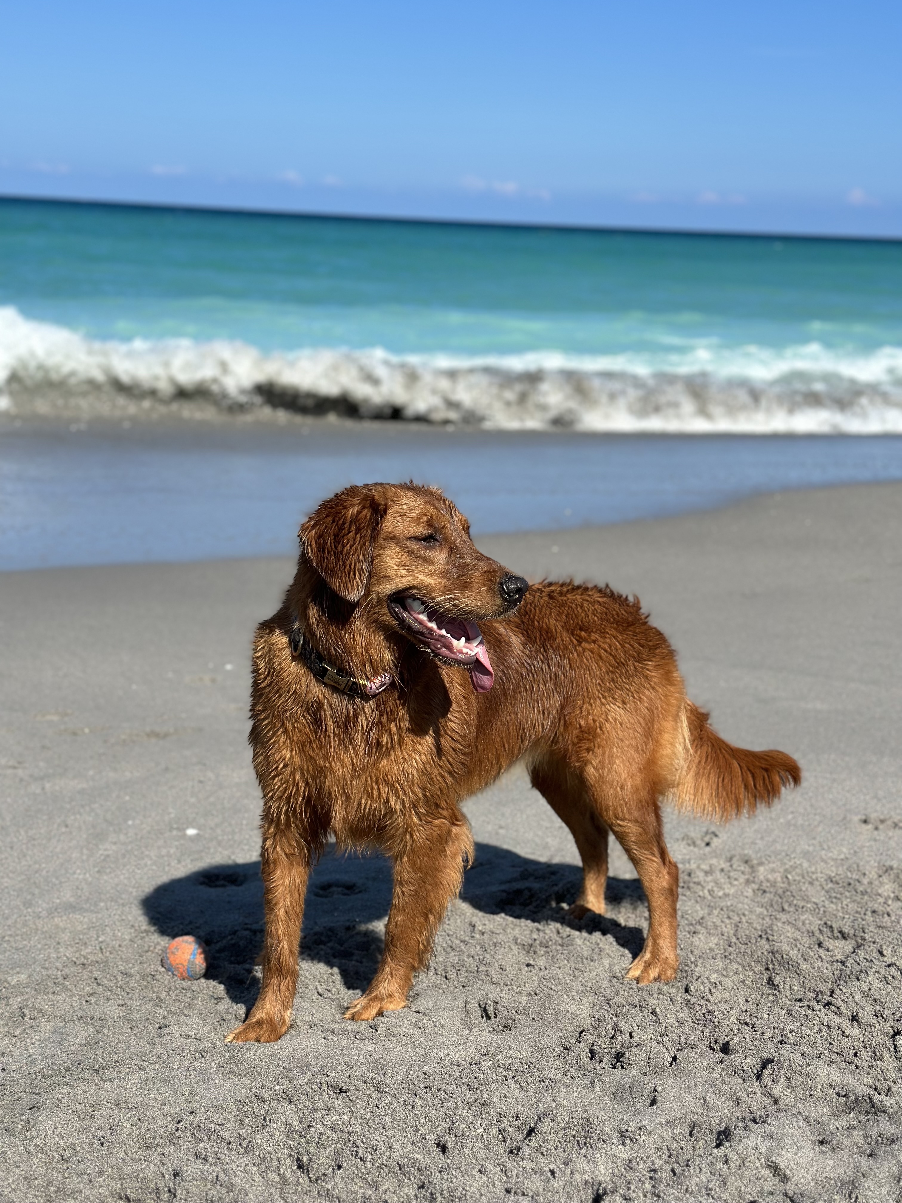 Raya — Chief Morale Officer